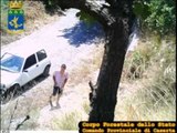 Falciano del Massico (CE) - Incendiava boschi per farsi arruolare nella Protezione Civile (15.07.15)