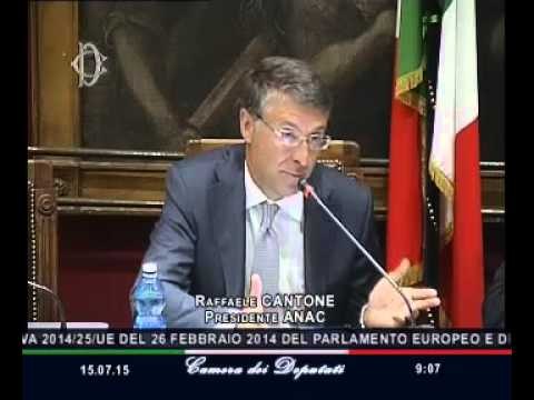 Roma - Procedure concessioni e appalti, audizione Cantone (15.07.15)