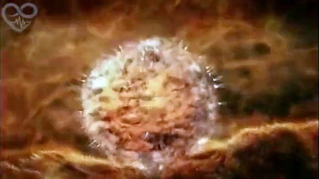 9 mois de grossesse en 4 minutes - De l’Embryon à la naissance