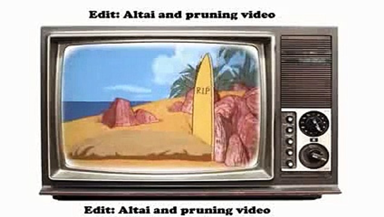 Tom And Jerry Surf Bored Cat 1967 Best Cartoons