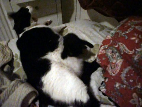 Joy et Inès sa maman de substitution