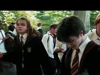 Bad Boy Hermione/Draco