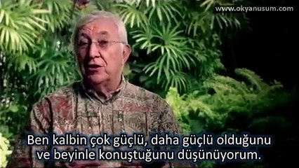 Kalbin manyetik enerjisi beyinden 5000 kat daha güçlü! - 21.01.2012