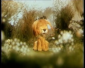 Как щенка учили плавать