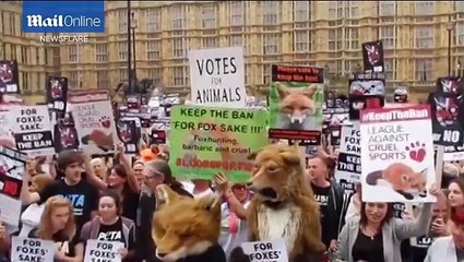 Daily Mail_Fox hunting protesters including Brian May hold rally at Westminster  14Jul15