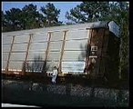 FEMA Cattle Cars for enemies of the state