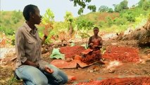 Find out why women in Tanzania women are addicted to soil ?