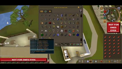 Runemate For Eagles13