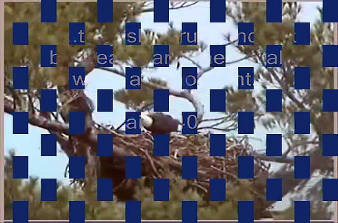 A Tribute to Marilyn "Total Praise" Brooklyn Tabernacle Choir ~ Maine Eagle Cam