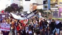 Protesto contra o Novo Código Florestal e a Usina Hidrelétrica de Belo Monte - 05 de junho de 2011