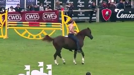 Horses Stunts