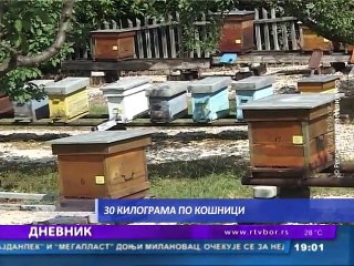 Dnevnik,  15. jul 2015. (RTV Bor)