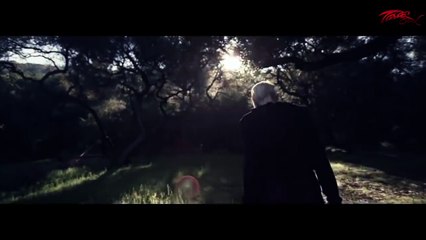 Stive Morgan - Between Heaven And Earth