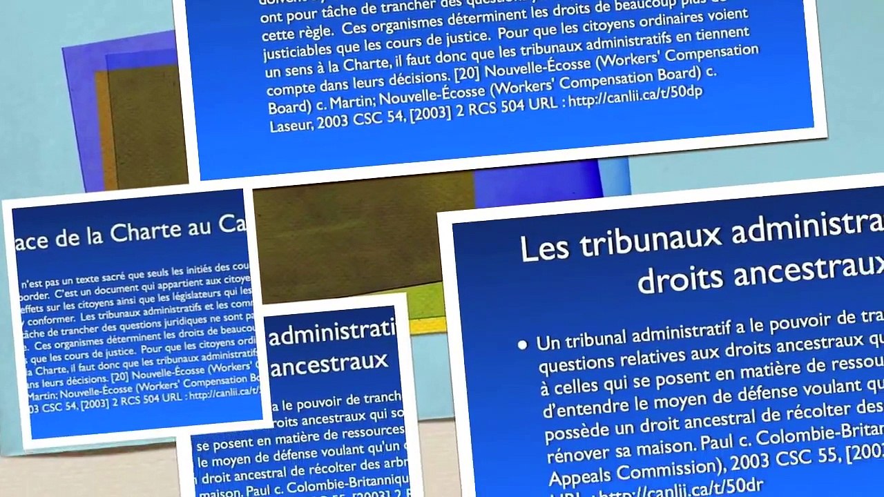 100 principes de droit administratif