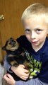 2013 Rottweiler Puppy Howling