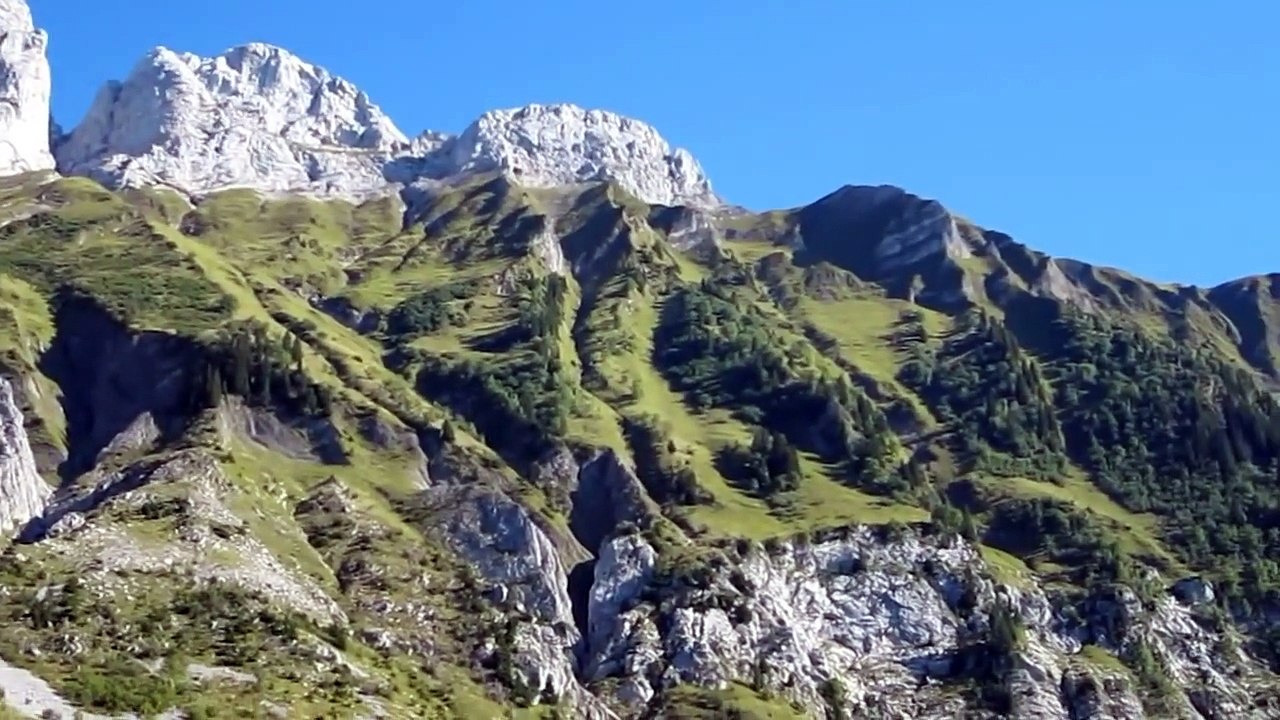 Gypaètes & Aigle royal,  - Bartgeier & Steinadler, -  Lammergeiers & Golden Eagle