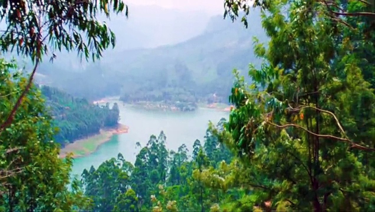 В кейптаунском порту (Макаревич А., Козлов А.)