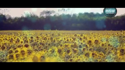 50 Roubos do Quito Cigano - Trailer Oficial