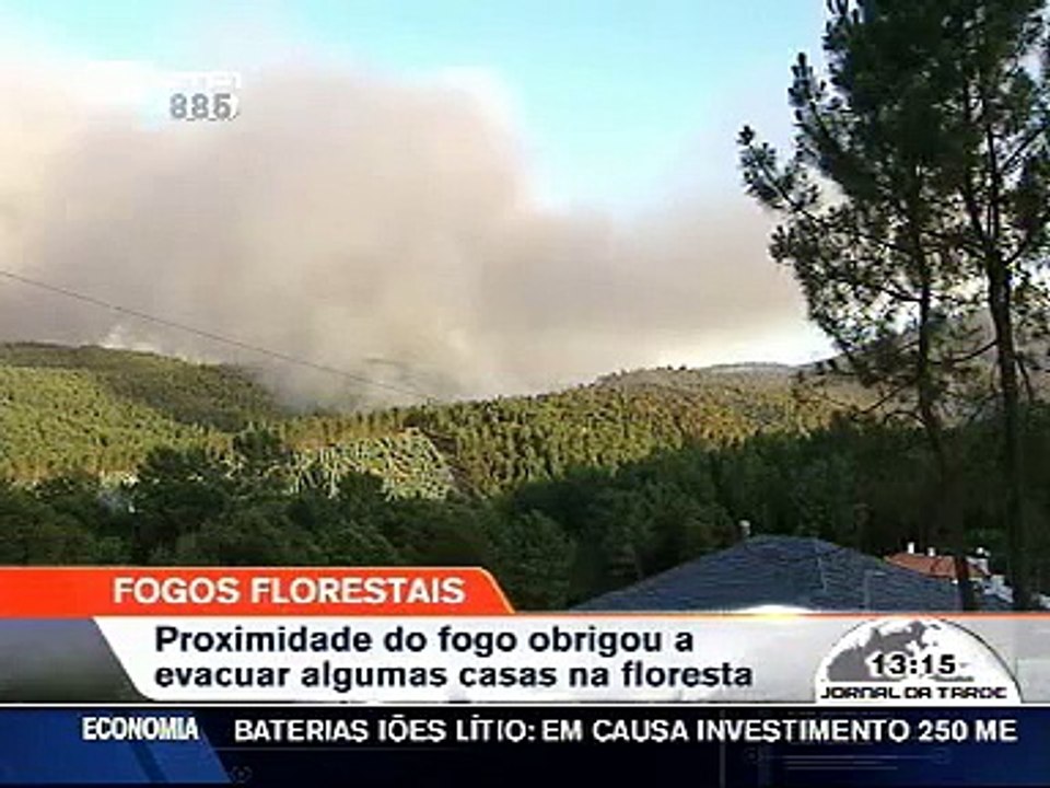 Incendio em Arouca devastou area florestal