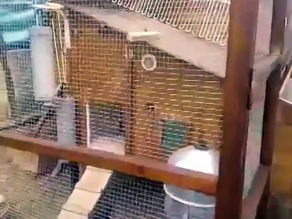 Porte automatique de poulailler