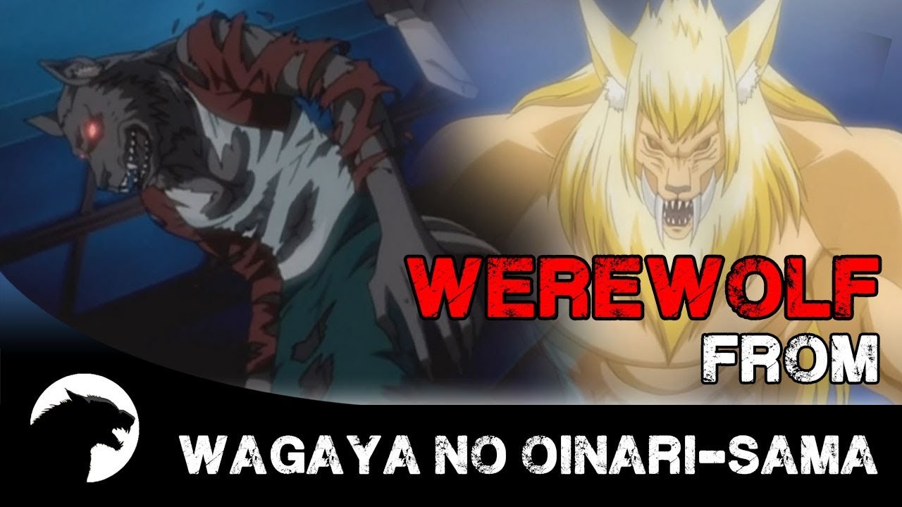 Werewolf from Wagaya No Oinari-Sama