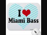 MAGGOTRON CRUSHING CREW - MIAMI'S ROCKIN BABY (PANDISC)