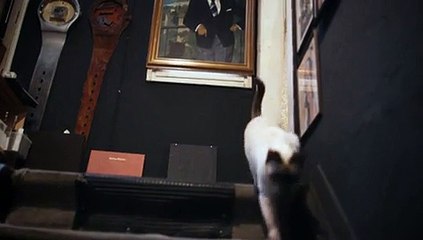 Dark Star: HR Gigers Welt official Trailer #1