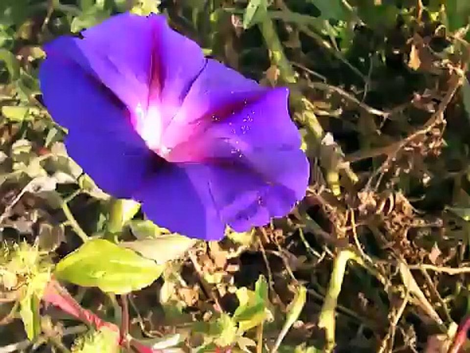 n njnjnjnj