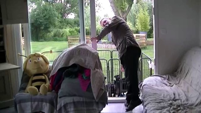 101ème vidéo Les chiots Staffies de la 20ème portée de Staffordland