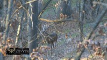 Boone and Crockett Whitetail with Roger Raglin From CVA's Greatest Hits