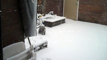 onze hond lekker aan het spelen in de sneeuw  2010