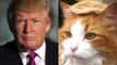 #TrumpYourCat Turns Cats Into DONALD TRUMP | What's Trending Now