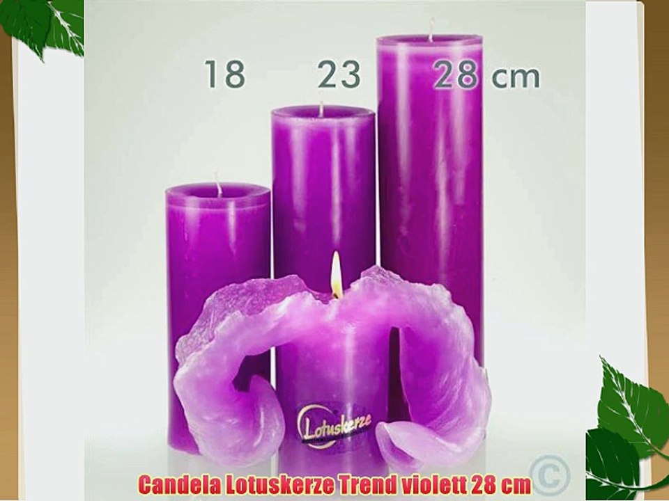 Candela Lotuskerze Trend violett 28 cm