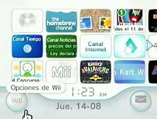 Wii Homebrew mplayer