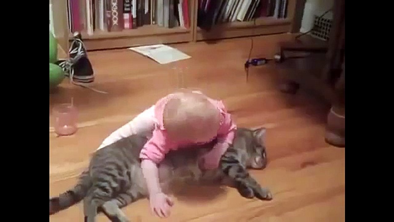 Laugh - Animali e bambini  Video divertente di Bambini, cani, gatti