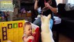 Funny Babies Laughing at Dogs Eating Bubbles Compilation April 2015 Funny Animals Baby Dog