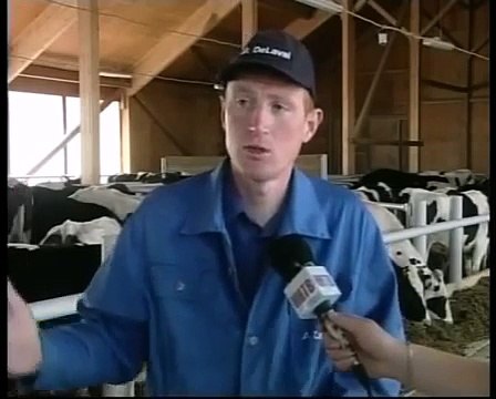 Фермы - Строительство коровника на 200, 400, 600 голов