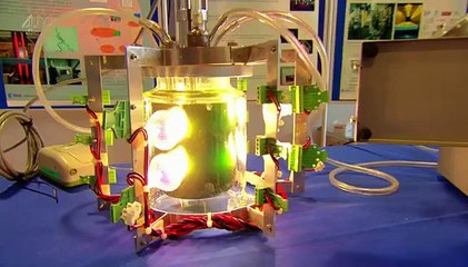 Superfoods The Real Story S01E03