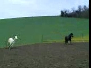et sa galope^^