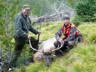 Amazing Elk Hunt Bob Marshall Wilderness - Montana