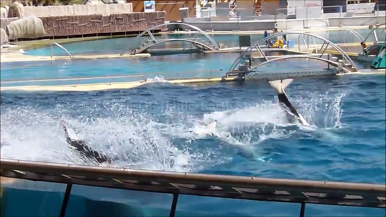 :Marineland 2015 Trailer: