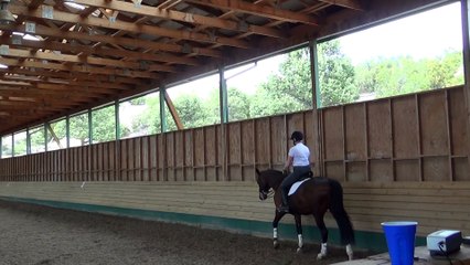 May 17, 2015 riding Bonito with Mary Wanless, busy seat bones