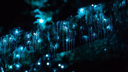 You'll Never Believe What This Beautiful Footage Features