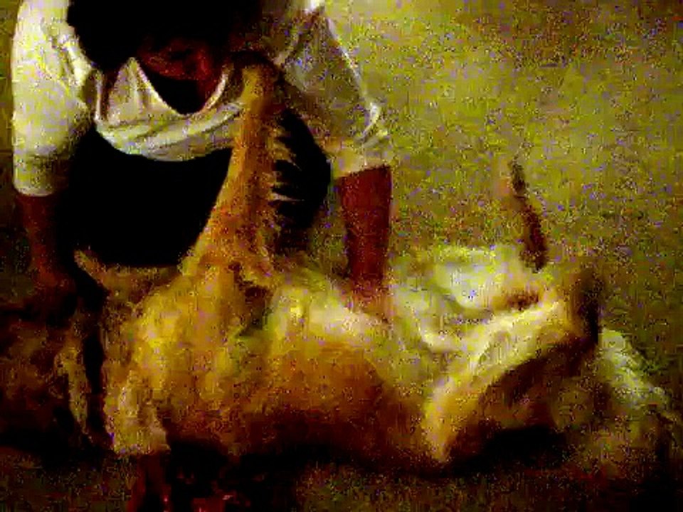Belly Rub