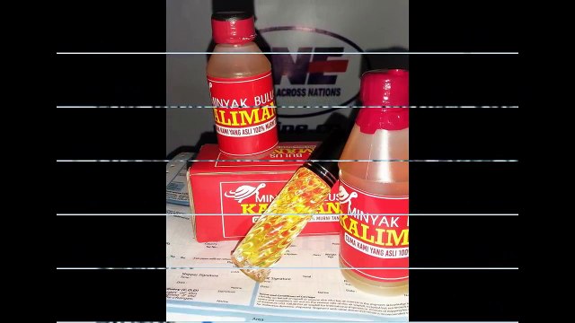 0821-4800-0950 (Telkomsel) Manfaat Minyak Bulus, Khasiat Minyak Bulus, Minyak Bulus Asli