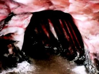 Himalayan Crystal Salt Demo