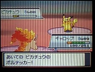 ポケモンハートゴールドソウルシルバー vsレッド Pokemon HgSs vs Red