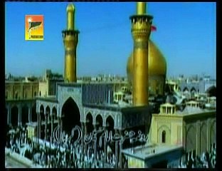 01. SHUKRIA HUSSAIN A.S ( DANISH RIZVI 2011 NOHA ALBUM )