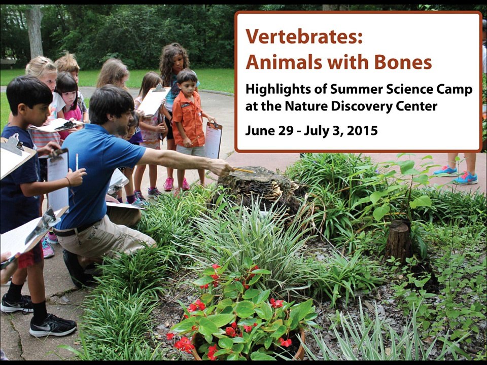 Summer Science Camp 2015 Week 4: Vertebrates - Animals with Bones