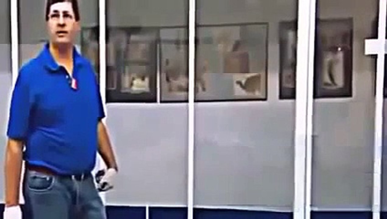 ARCTIC DINOSAURS NOVA Discovery Animals Nature documentary